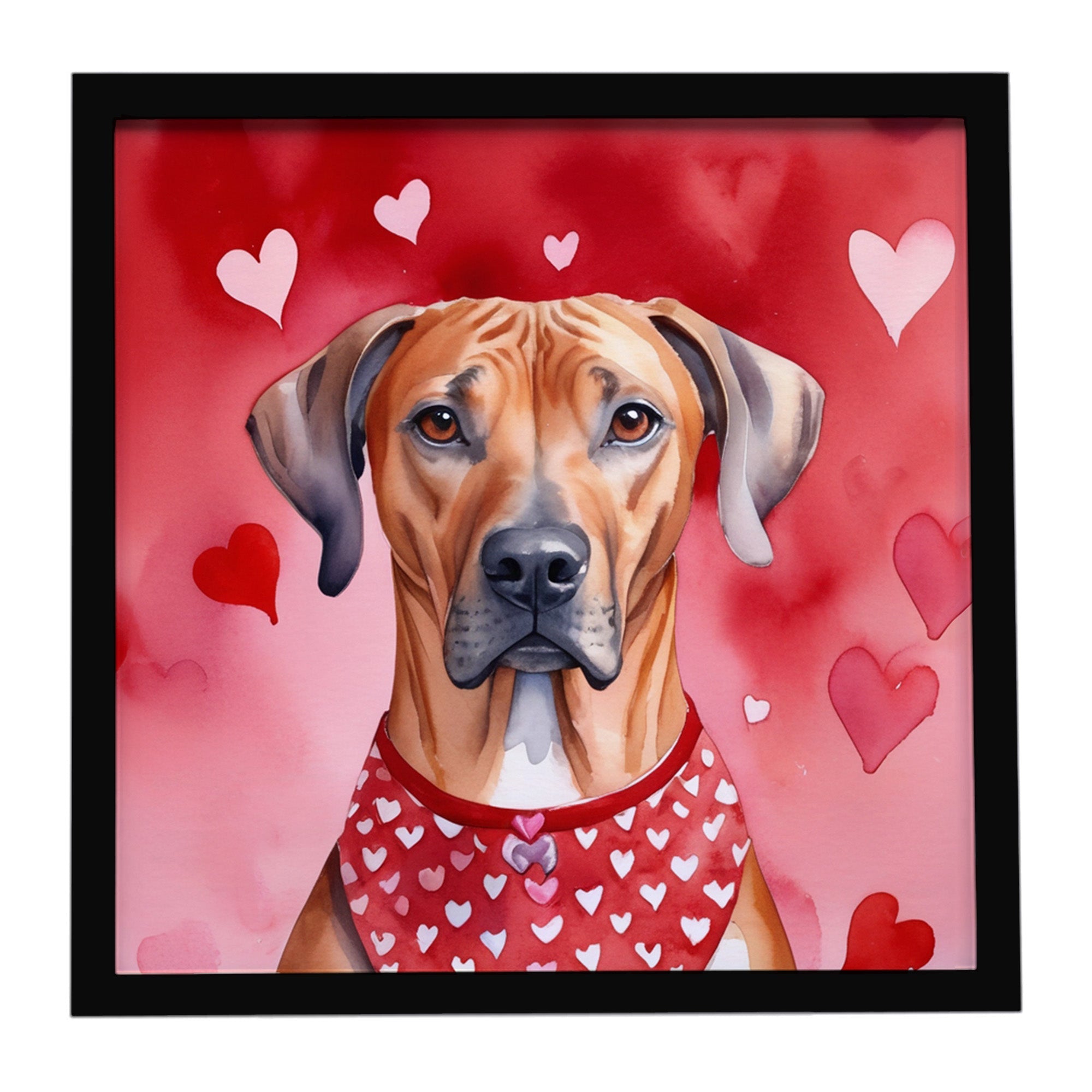 Rhodesian Ridgeback My Valentine Framed Metal Print Bathroom, Kitchen, Office, Home Decor Wall Art Ready to Hang, Square, 8X8