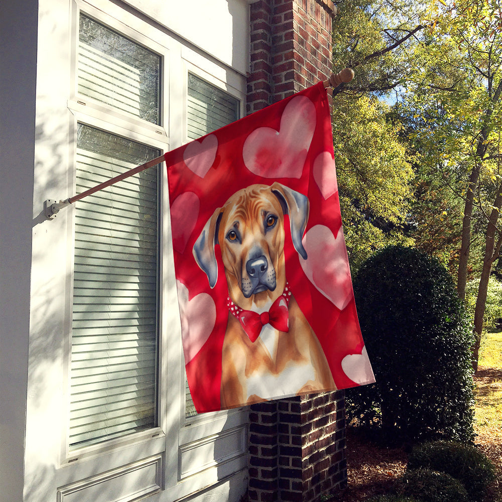 Rhodesian Ridgeback My Valentine House Flag 28x40 Porch Sleeve Pole Decorative Outside Yard Banner Artwork Wall Hanging, Polyester