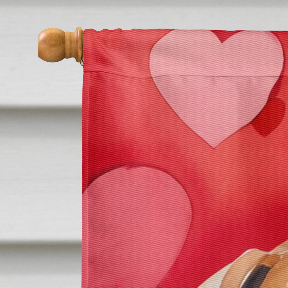 Rhodesian Ridgeback My Valentine House Flag 28x40 Porch Sleeve Pole Decorative Outside Yard Banner Artwork Wall Hanging, Polyester