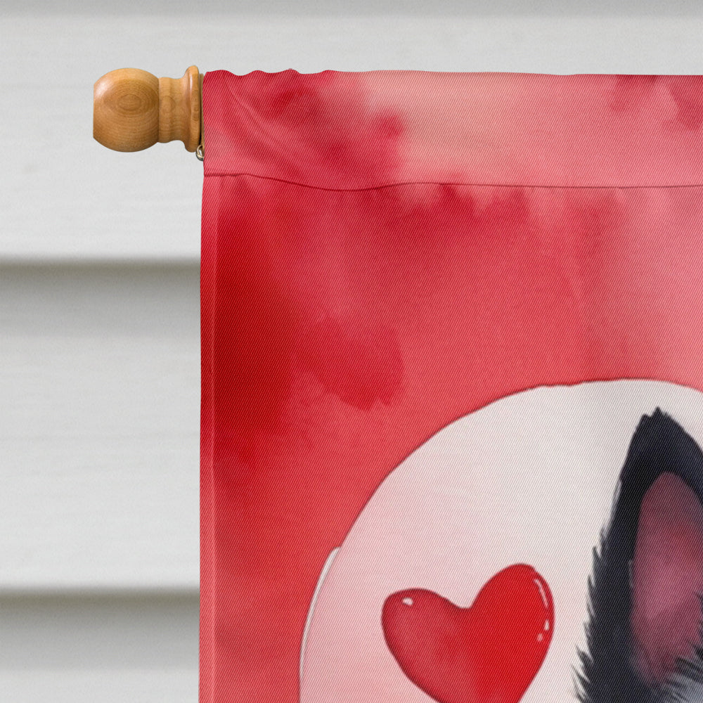 Schipperke My Valentine House Flag 28x40 Porch Sleeve Pole Decorative Outside Yard Banner Artwork Wall Hanging, Polyester