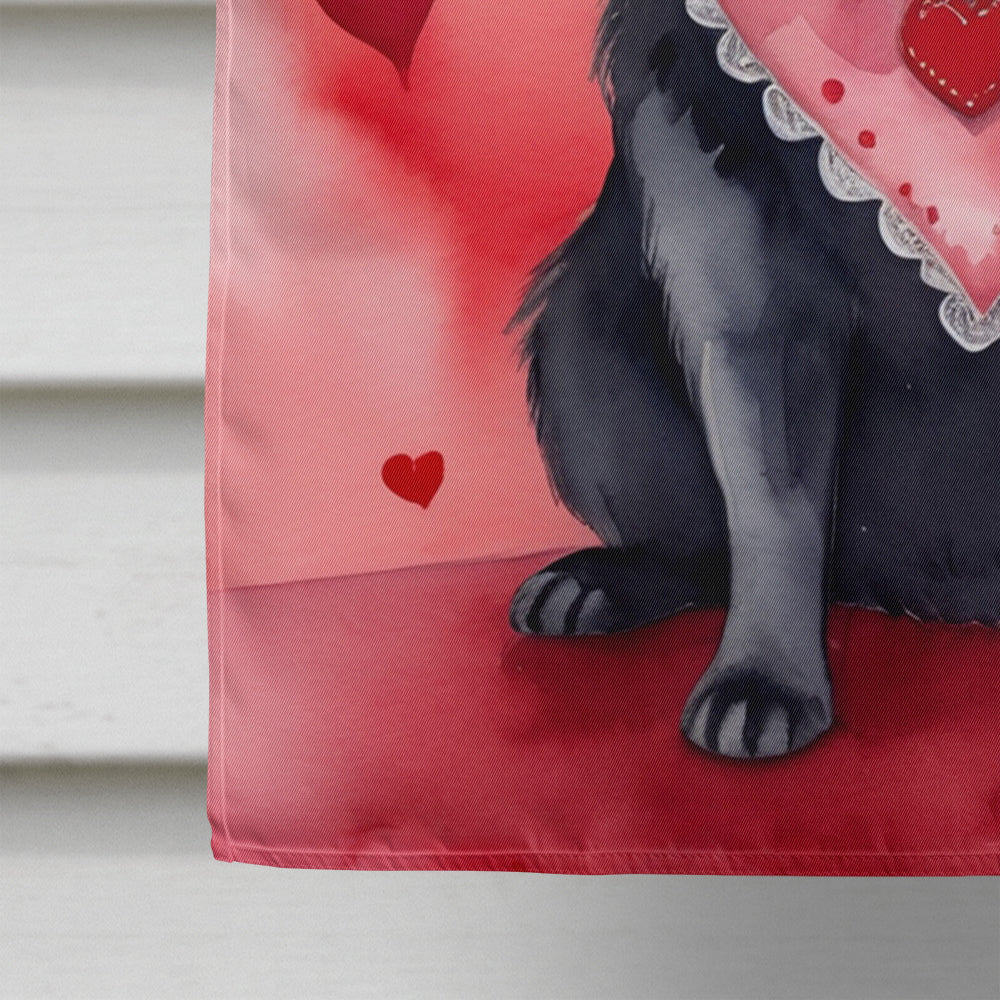 Schipperke My Valentine House Flag 28x40 Porch Sleeve Pole Decorative Outside Yard Banner Artwork Wall Hanging, Polyester