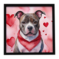 Staffordshire Bull Terrier My Valentine Framed Metal Print Bathroom, Kitchen, Office, Home Decor Wall Art Ready to Hang, Square, 8X8