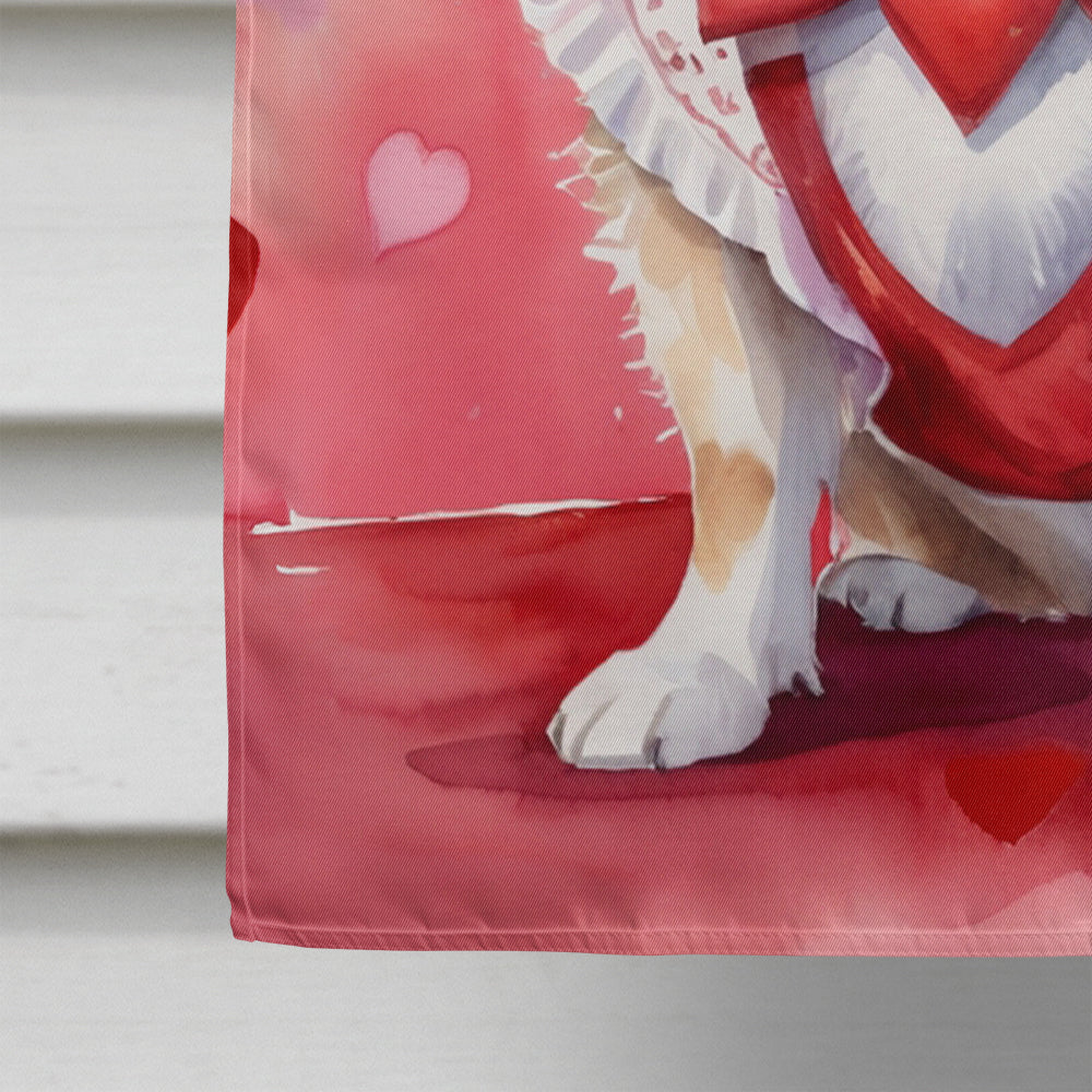 Tibetan Spaniel My Valentine House Flag 28x40 Porch Sleeve Pole Decorative Outside Yard Banner Artwork Wall Hanging, Polyester