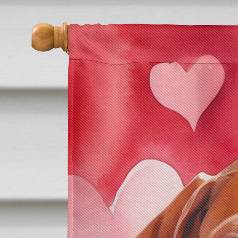 Vizsla My Valentine House Flag 28x40 Porch Sleeve Pole Decorative Outside Yard Banner Artwork Wall Hanging, Polyester