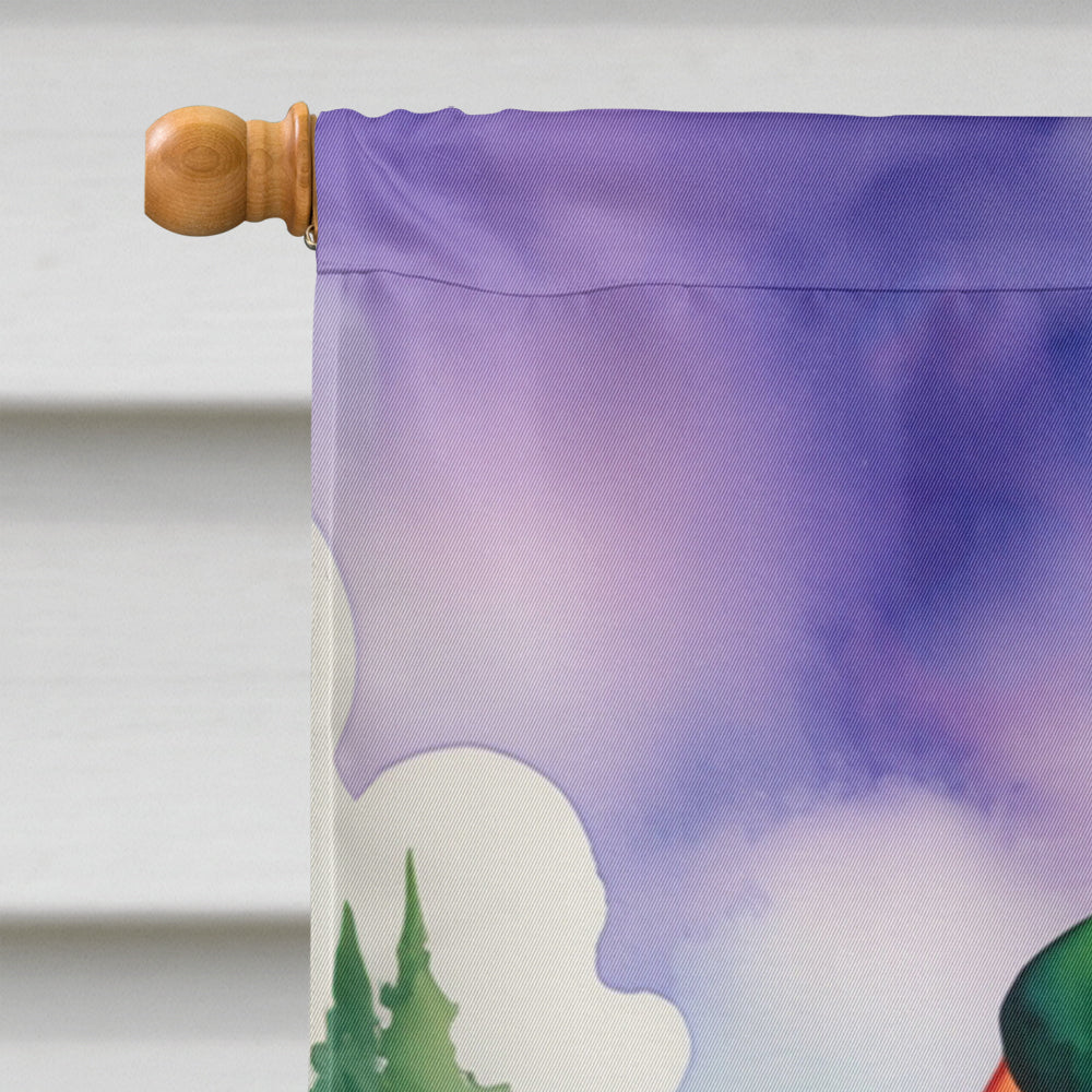 American Hairless Terrier St Patrick's Day House Flag 28x40 Porch Sleeve Pole Decorative Outside Yard Banner Artwork Wall Hanging, Polyester
