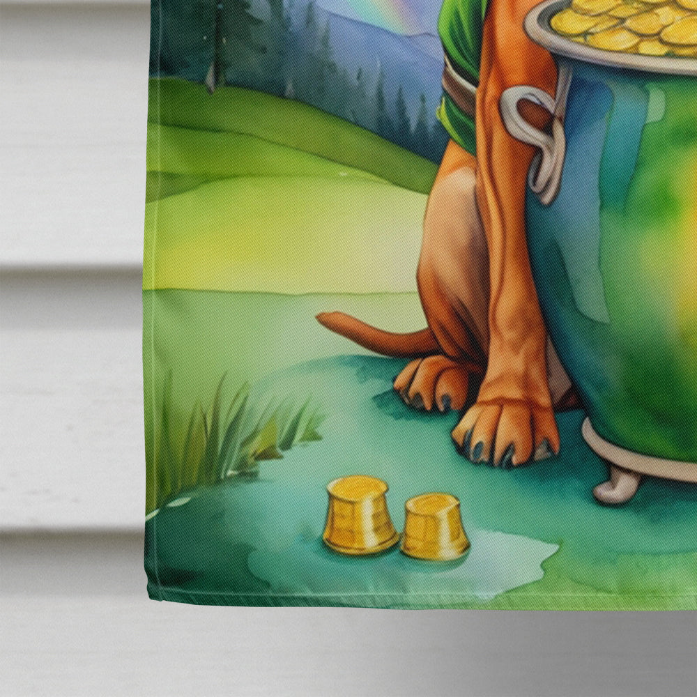 Bloodhound St Patrick's Day House Flag 28x40 Porch Sleeve Pole Decorative Outside Yard Banner Artwork Wall Hanging, Polyester