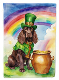 Boykin Spaniel St Patrick's Day House Flag 28x40 Porch Sleeve Pole Decorative Outside Yard Banner Artwork Wall Hanging, Polyester