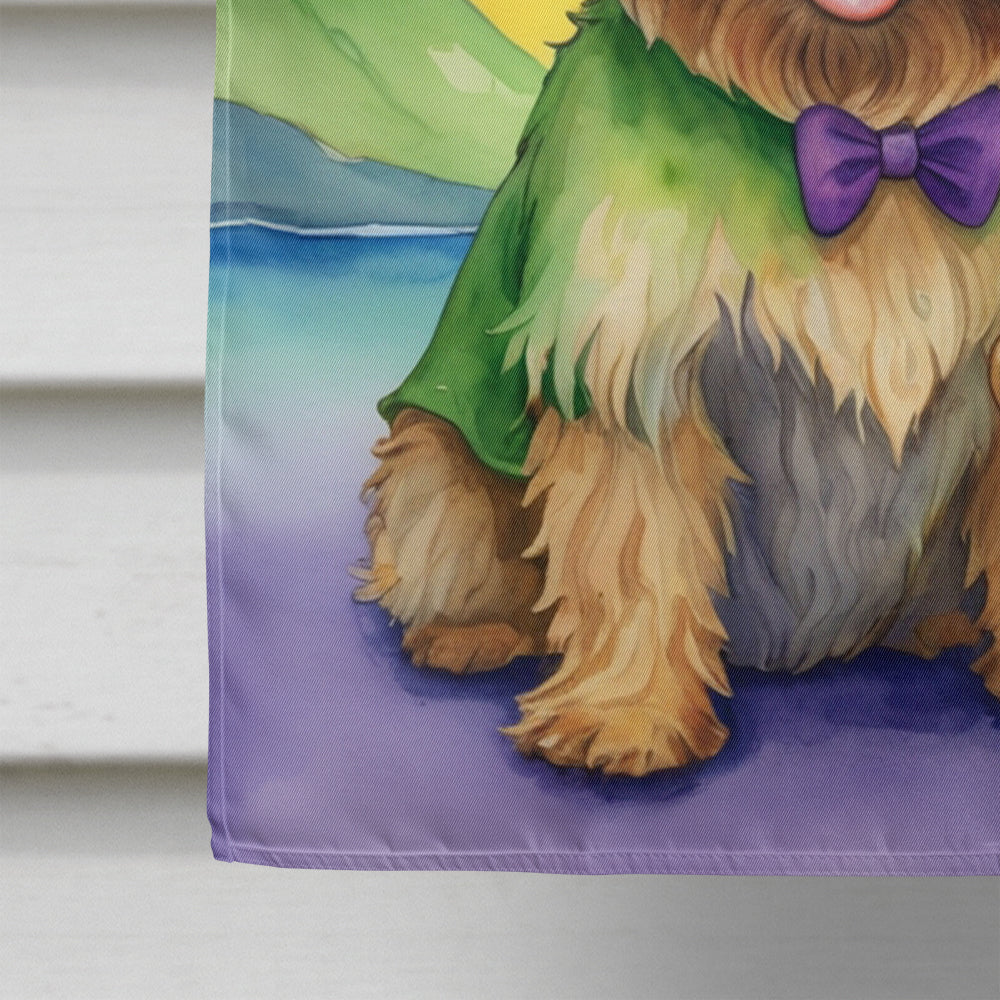 Cairn Terrier St Patrick's Day House Flag 28x40 Porch Sleeve Pole Decorative Outside Yard Banner Artwork Wall Hanging, Polyester