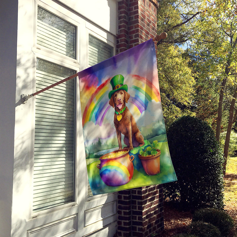 Chesapeake Bay Retriever St Patrick's Day House Flag 28x40 Porch Sleeve Pole Decorative Outside Yard Banner Artwork Wall Hanging, Polyester