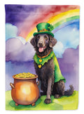 Curly-Coated Retriever St Patrick's Day House Flag 28x40 Porch Sleeve Pole Decorative Outside Yard Banner Artwork Wall Hanging, Polyester