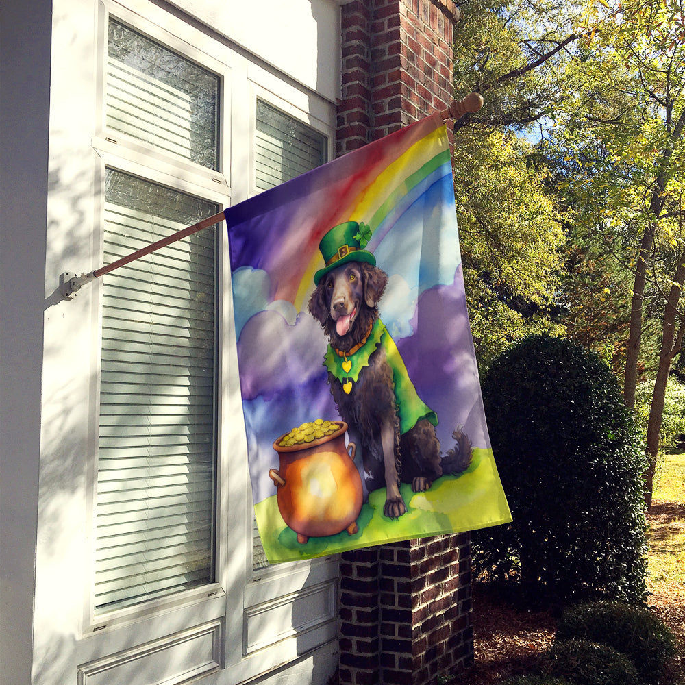 Curly-Coated Retriever St Patrick's Day House Flag 28x40 Porch Sleeve Pole Decorative Outside Yard Banner Artwork Wall Hanging, Polyester