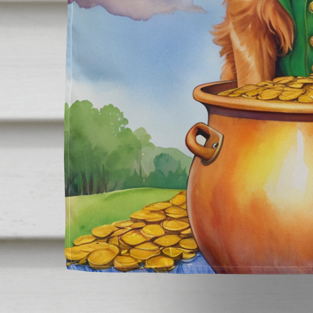 Nova Scotia Duck Tolling Retriever St Patrick's Day House Flag 28x40 Porch Sleeve Pole Decorative Outside Yard Banner Artwork Wall Hanging, Polyester