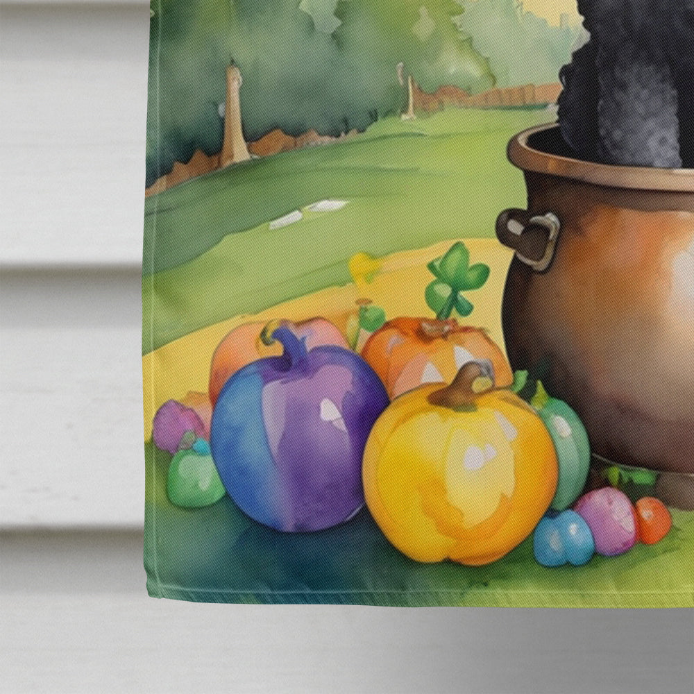 Black Poodle St Patrick's Day House Flag 28x40 Porch Sleeve Pole Decorative Outside Yard Banner Artwork Wall Hanging, Polyester