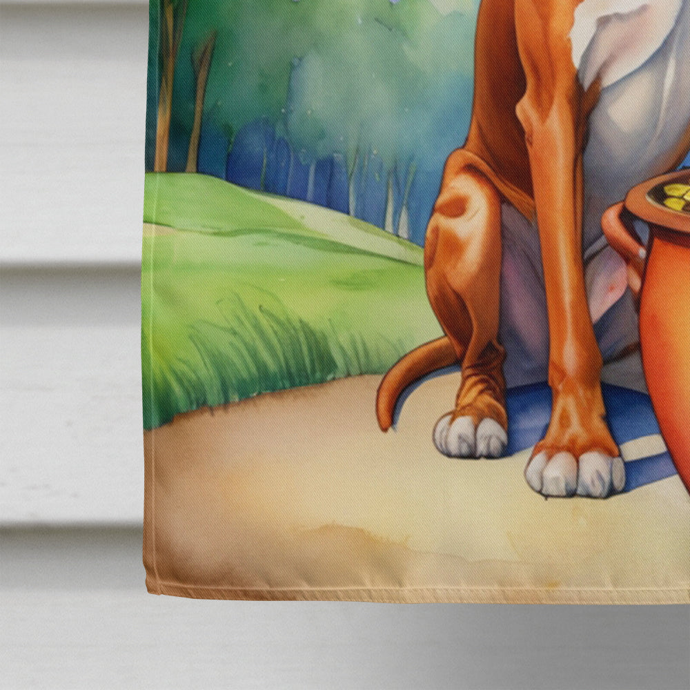 Red Redbone Coonhound St Patrick's Day House Flag 28x40 Porch Sleeve Pole Decorative Outside Yard Banner Artwork Wall Hanging, Polyester