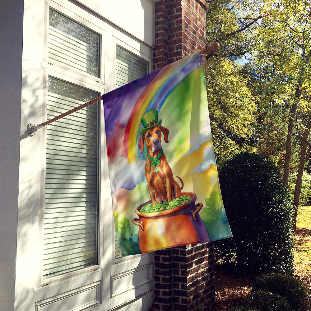 Rhodesian Ridgeback St Patrick's Day House Flag 28x40 Porch Sleeve Pole Decorative Outside Yard Banner Artwork Wall Hanging, Polyester