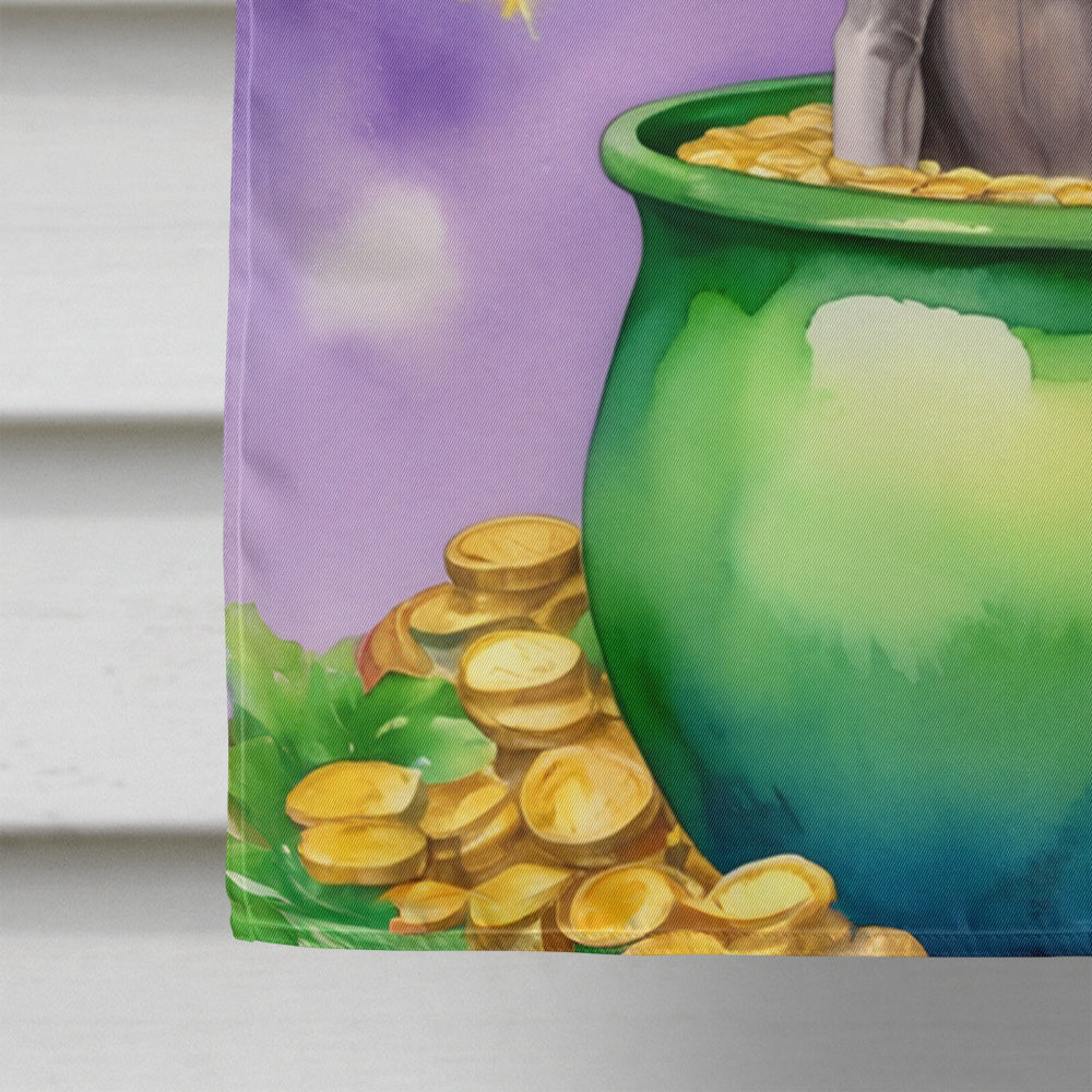 Weimaraner St Patrick's Day House Flag 28x40 Porch Sleeve Pole Decorative Outside Yard Banner Artwork Wall Hanging, Polyester