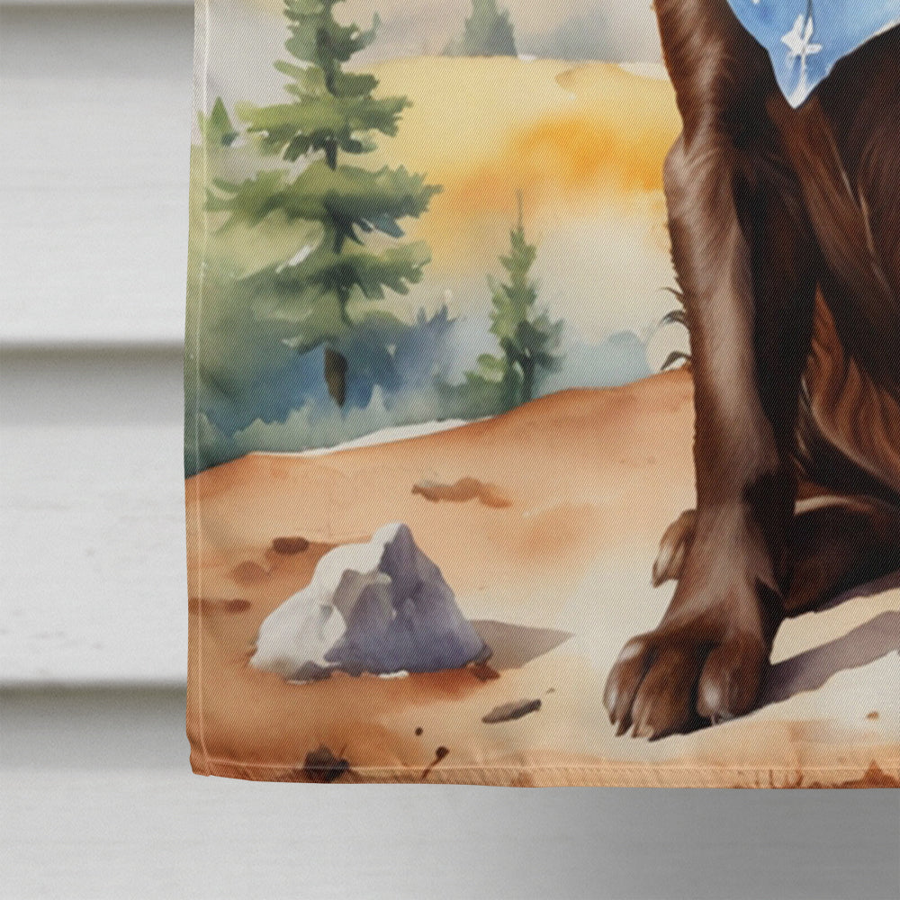 Boykin Spaniel Cowboy Welcome House Flag 28x40 Porch Sleeve Pole Decorative Outside Yard Banner Artwork Wall Hanging, Polyester