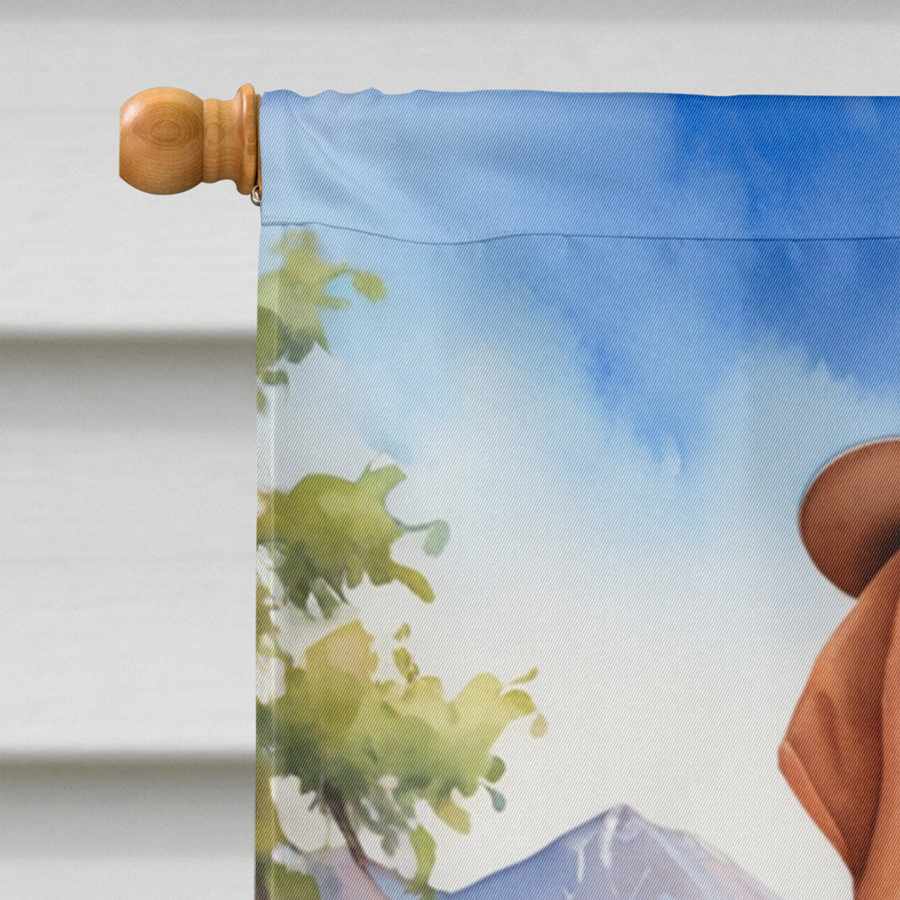 Redbone Coonhound Cowboy Welcome House Flag 28x40 Porch Sleeve Pole Decorative Outside Yard Banner Artwork Wall Hanging, Polyester