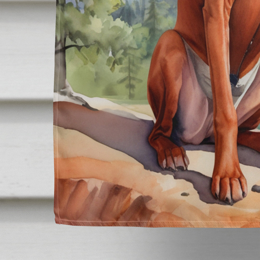 Redbone Coonhound Cowboy Welcome House Flag 28x40 Porch Sleeve Pole Decorative Outside Yard Banner Artwork Wall Hanging, Polyester