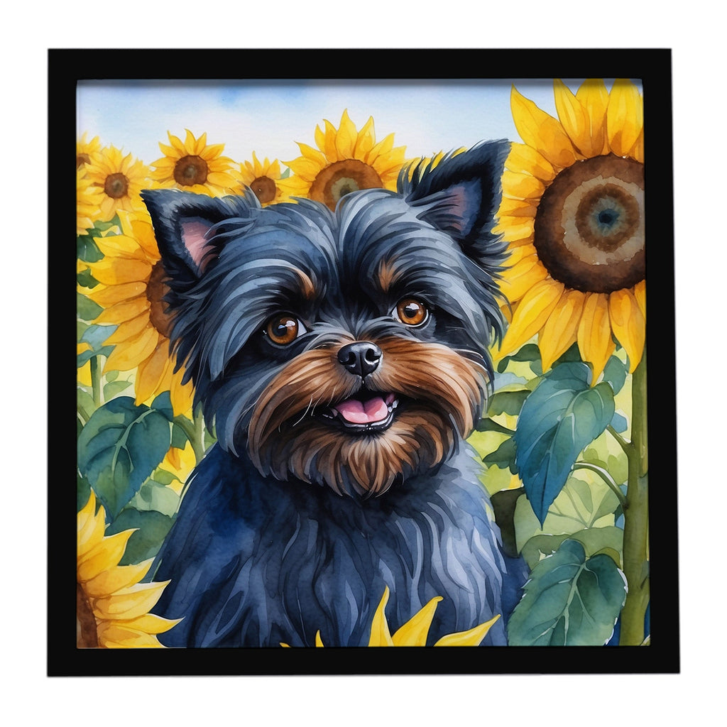 Affenpinscher in Sunflowers Framed Metal Print Bathroom, Kitchen, Office, Home Decor Wall Art Ready to Hang, Square, 8X8