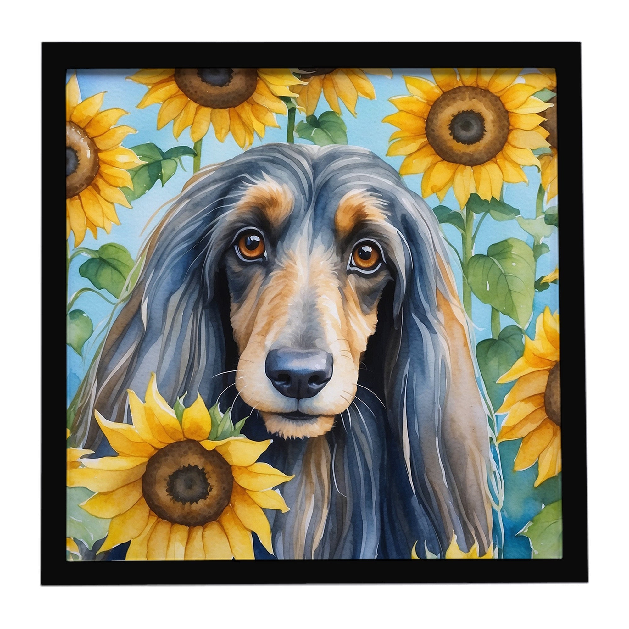 Afghan Hound in Sunflowers Framed Metal Print Bathroom, Kitchen, Office, Home Decor Wall Art Ready to Hang, Square, 8X8