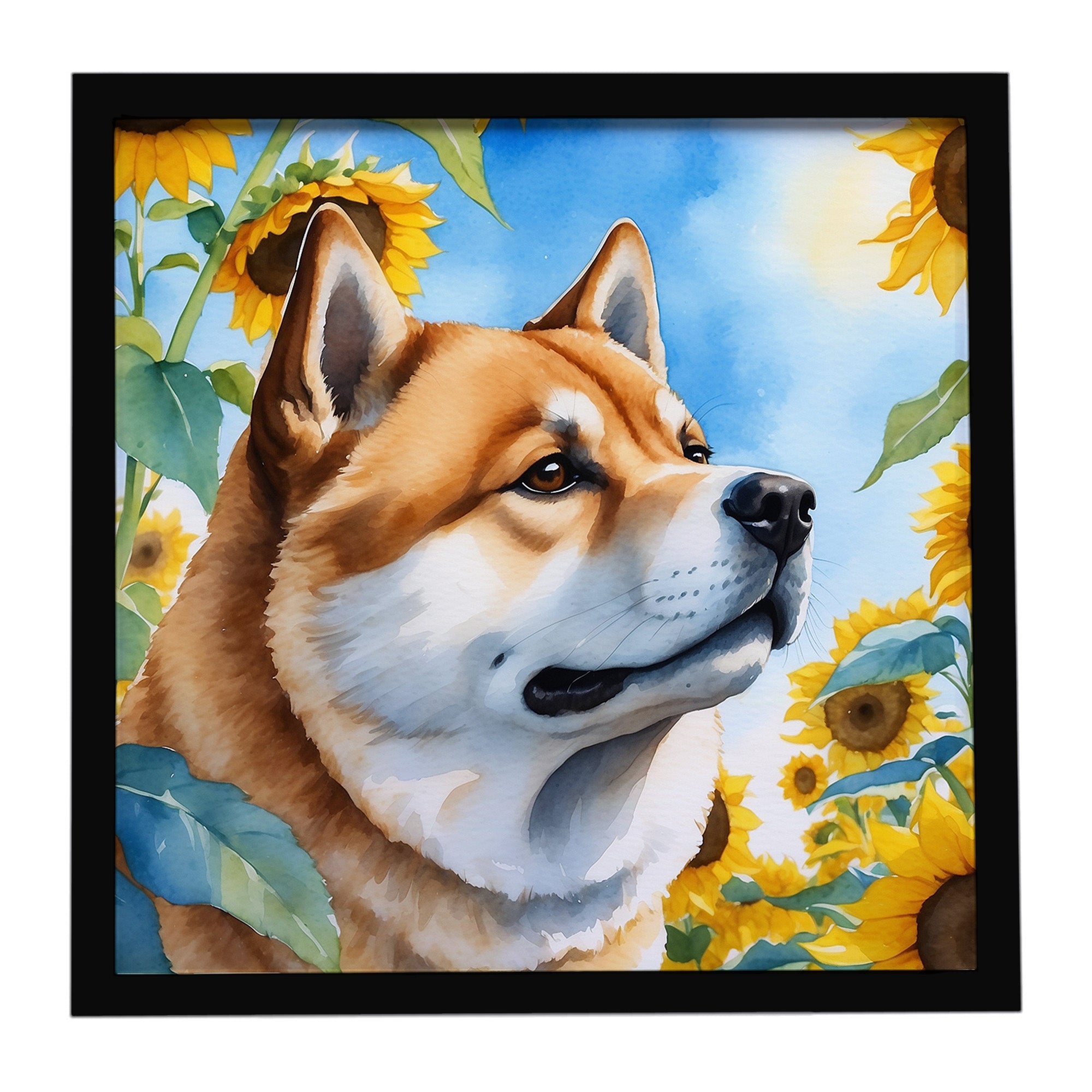 Akita in Sunflowers Framed Metal Print Bathroom, Kitchen, Office, Home Decor Wall Art Ready to Hang, Square, 8X8