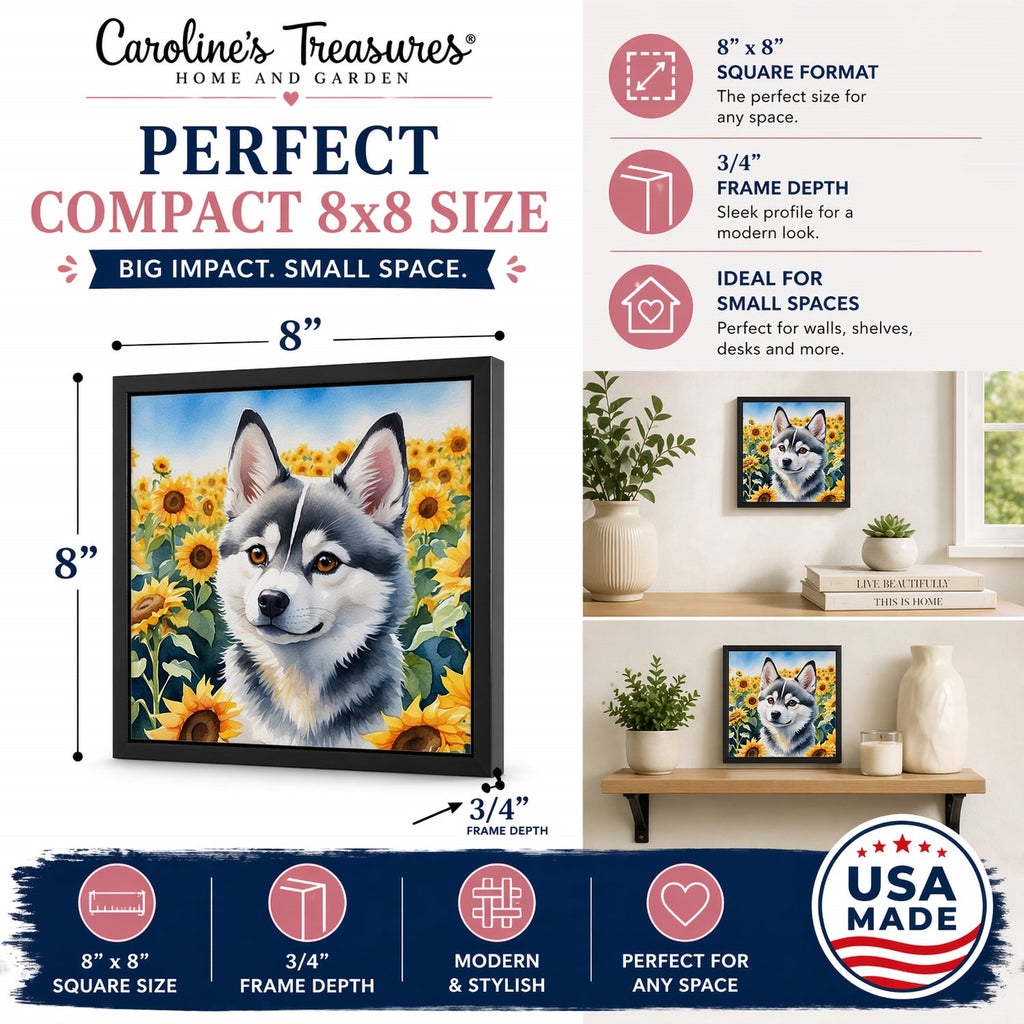 Alaskan Klee Kai in Sunflowers Framed Metal Print Bathroom, Kitchen, Office, Home Decor Wall Art Ready to Hang, Square, 8X8