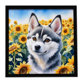 Alaskan Klee Kai in Sunflowers Framed Metal Print Bathroom, Kitchen, Office, Home Decor Wall Art Ready to Hang, Square, 8X8