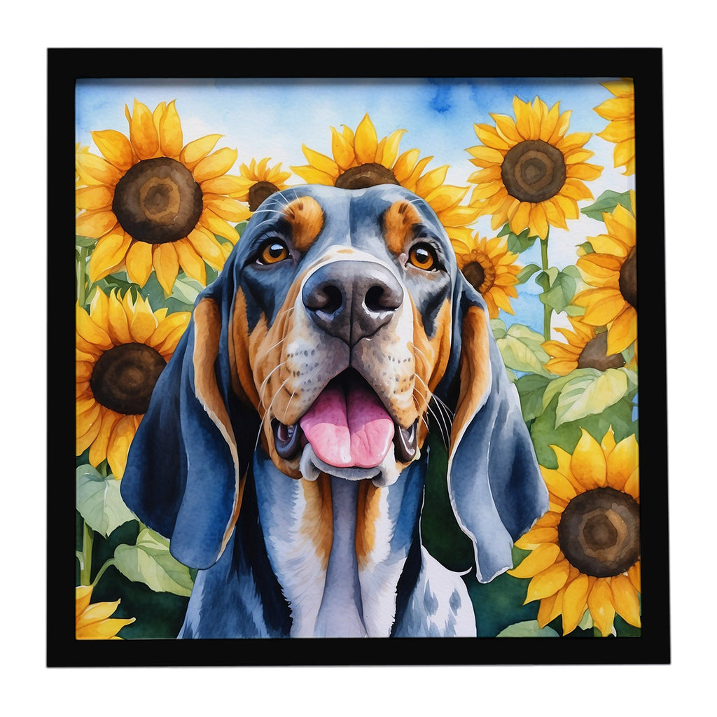 American English Coonhound in Sunflowers Framed Metal Print Bathroom, Kitchen, Office, Home Decor Wall Art Ready to Hang, Square, 8X8