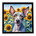 American Hairless Terrier in Sunflowers Framed Metal Print Bathroom, Kitchen, Office, Home Decor Wall Art Ready to Hang, Square, 8X8