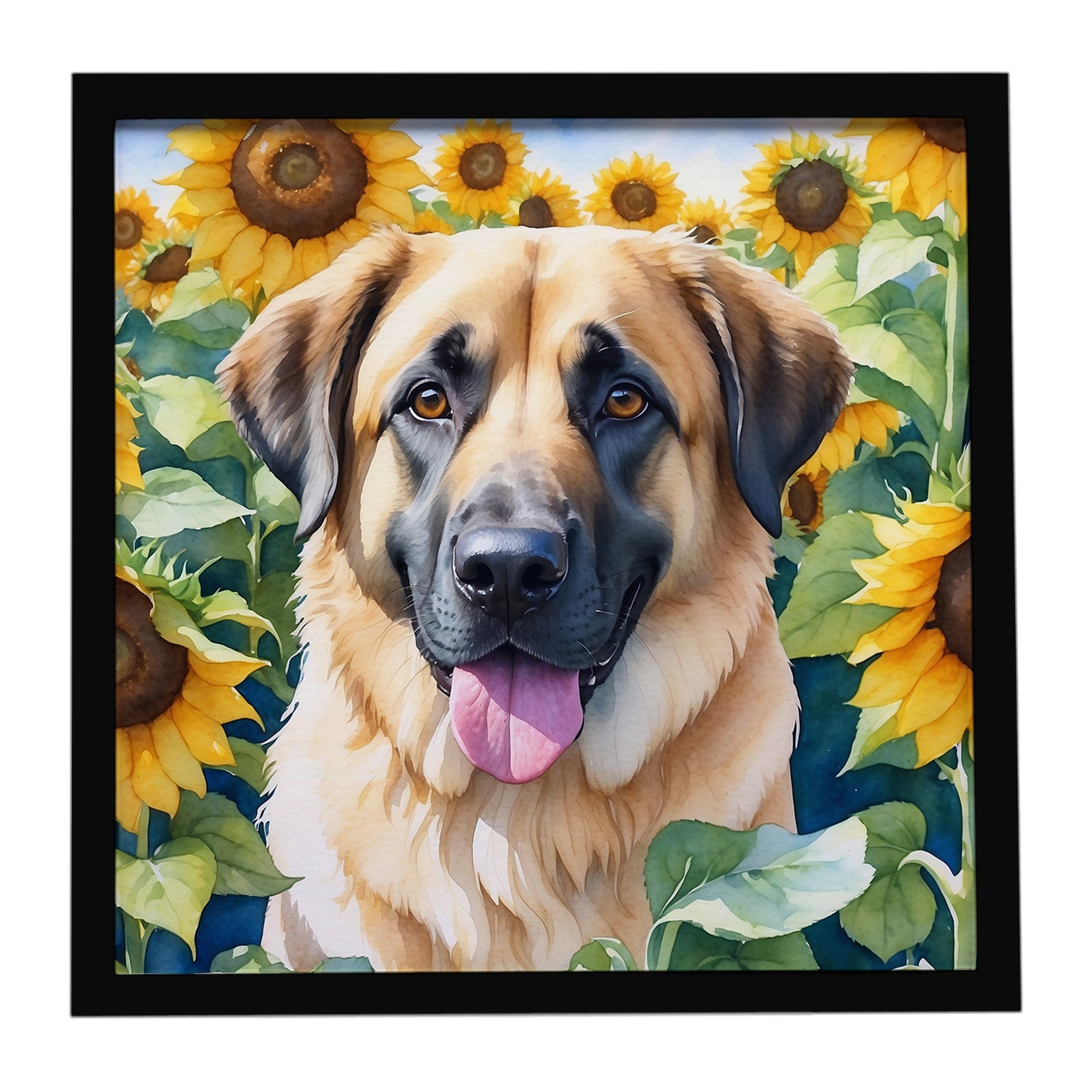 Anatolian Shepherd in Sunflowers Framed Metal Print Bathroom, Kitchen, Office, Home Decor Wall Art Ready to Hang, Square, 8X8