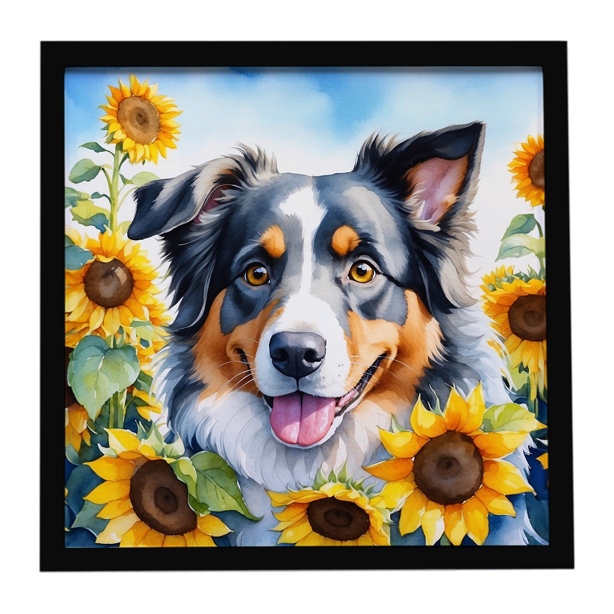 Australian Shepherd in Sunflowers Framed Metal Print Bathroom, Kitchen, Office, Home Decor Wall Art Ready to Hang, Square, 8X8