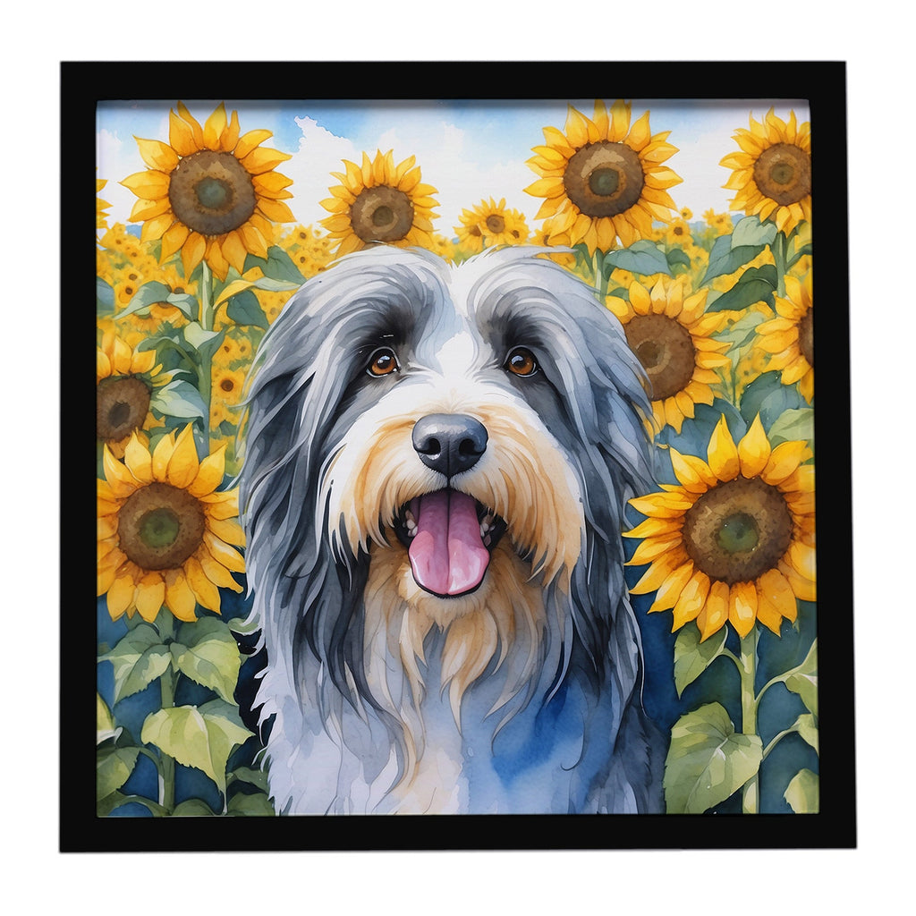 Bearded Collie in Sunflowers Framed Metal Print Bathroom, Kitchen, Office, Home Decor Wall Art Ready to Hang, Square, 8X8