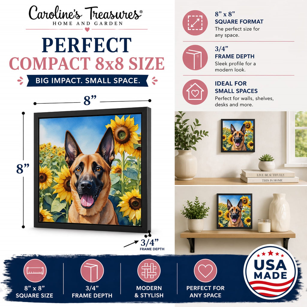 Belgian Malinois in Sunflowers Framed Metal Print Bathroom, Kitchen, Office, Home Decor Wall Art Ready to Hang, Square, 8X8