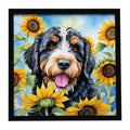 Bernedoodle in Sunflowers Framed Metal Print Bathroom, Kitchen, Office, Home Decor Wall Art Ready to Hang, Square, 8X8