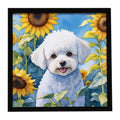 Bichon Frise in Sunflowers Framed Metal Print Bathroom, Kitchen, Office, Home Decor Wall Art Ready to Hang, Square, 8X8