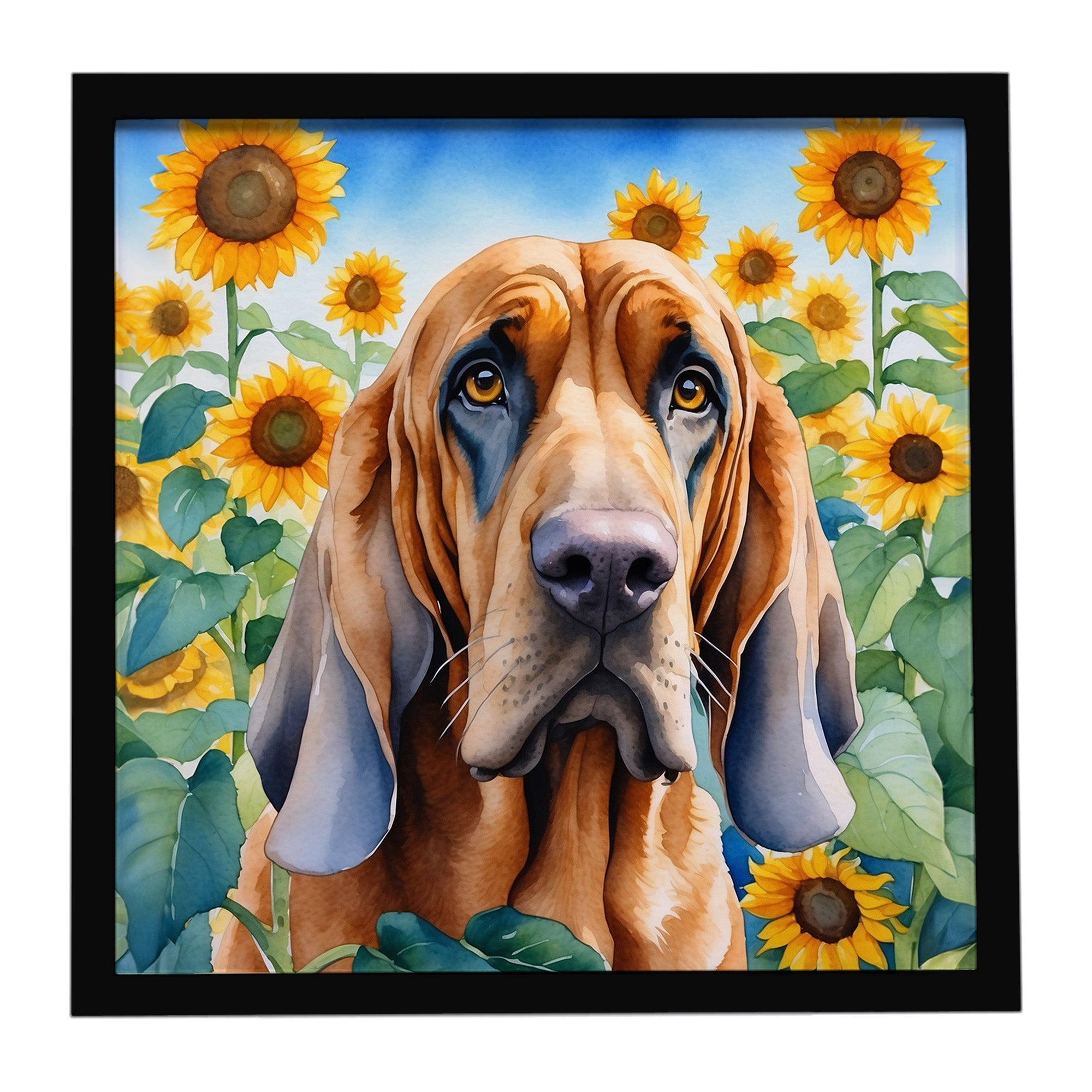 Bloodhound in Sunflowers Framed Metal Print Bathroom, Kitchen, Office, Home Decor Wall Art Ready to Hang, Square, 8X8