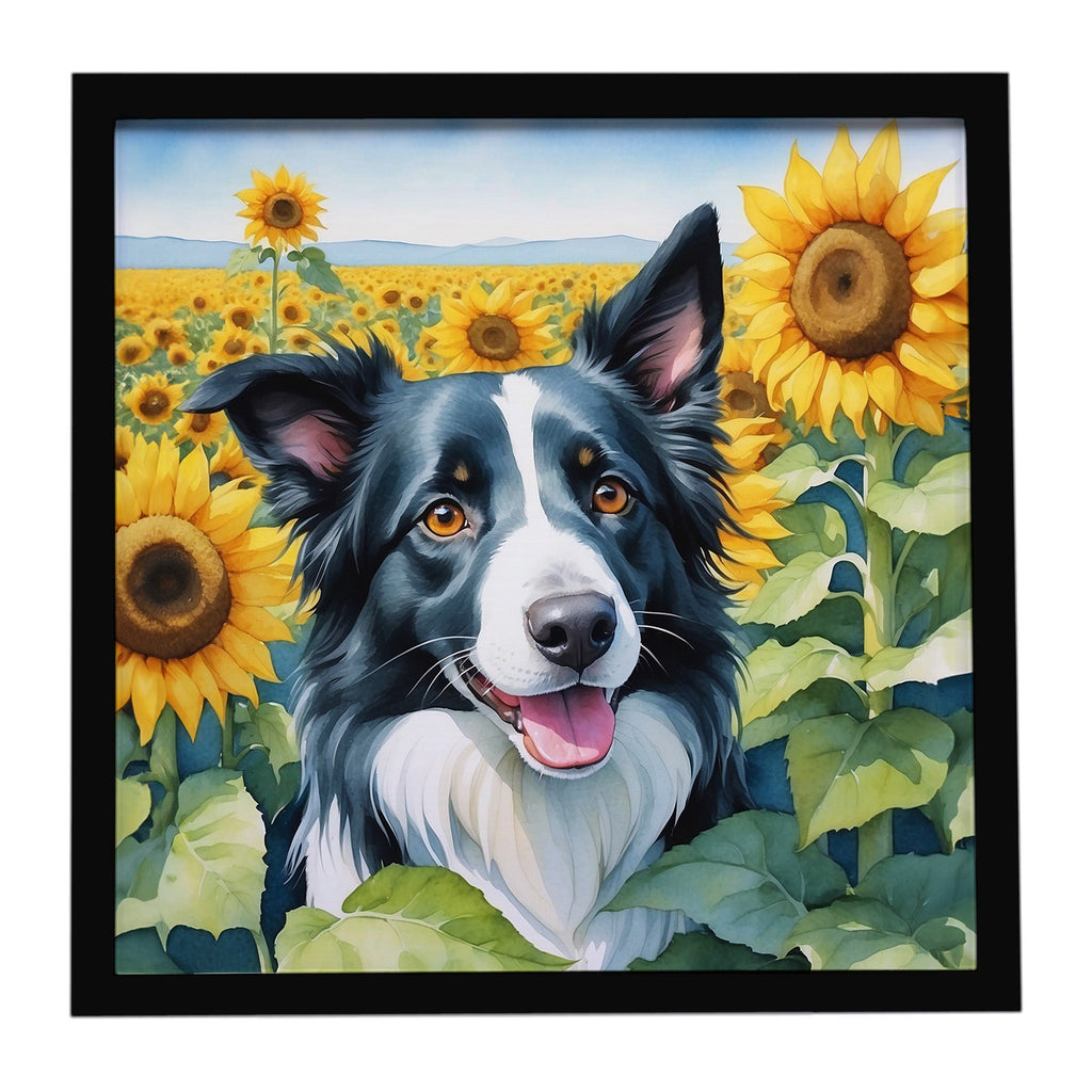 Border Collie in Sunflowers Framed Metal Print Bathroom, Kitchen, Office, Home Decor Wall Art Ready to Hang, Square, 8X8