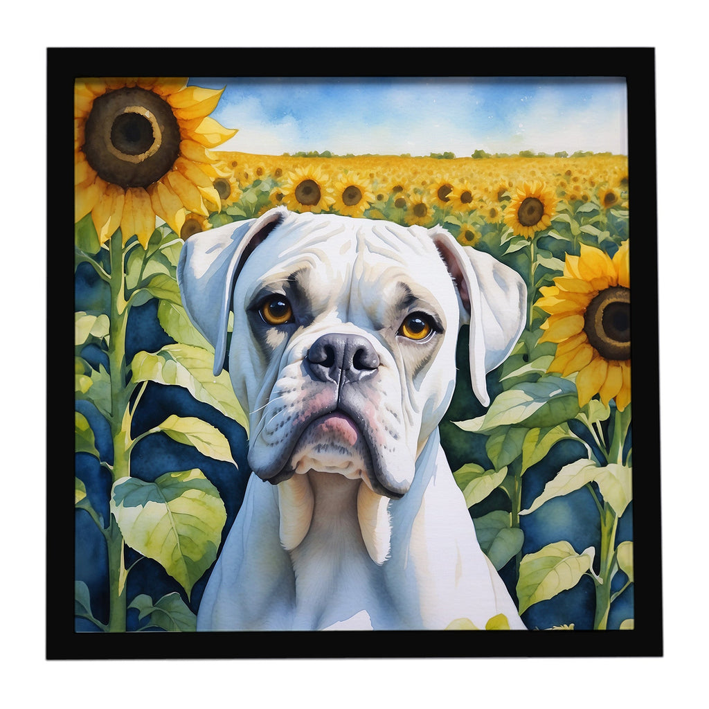 Boxer in Sunflowers Framed Metal Print Bathroom, Kitchen, Office, Home Decor Wall Art Ready to Hang, Square, 8X8
