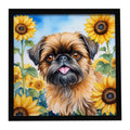 Brussels Griffon in Sunflowers Framed Metal Print Bathroom, Kitchen, Office, Home Decor Wall Art Ready to Hang, Square, 8X8
