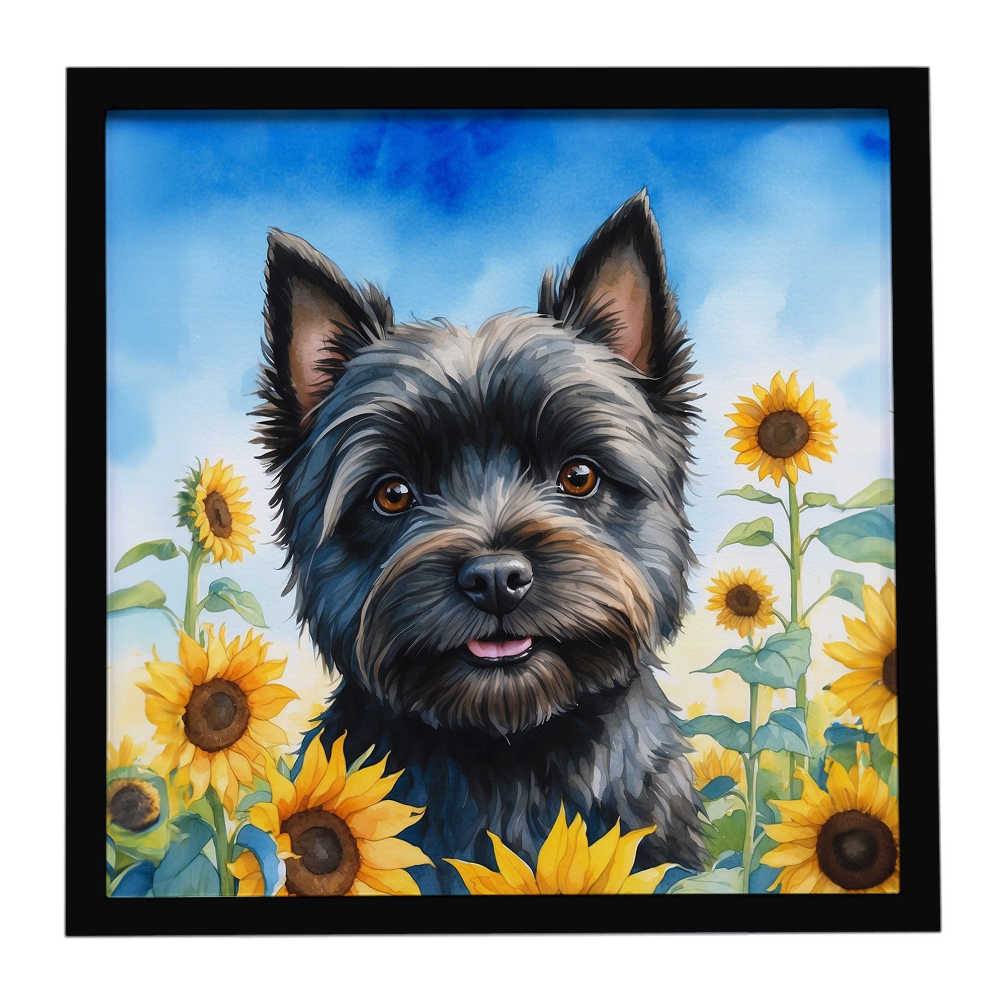 Cairn Terrier in Sunflowers Framed Metal Print Bathroom, Kitchen, Office, Home Decor Wall Art Ready to Hang, Square, 8X8