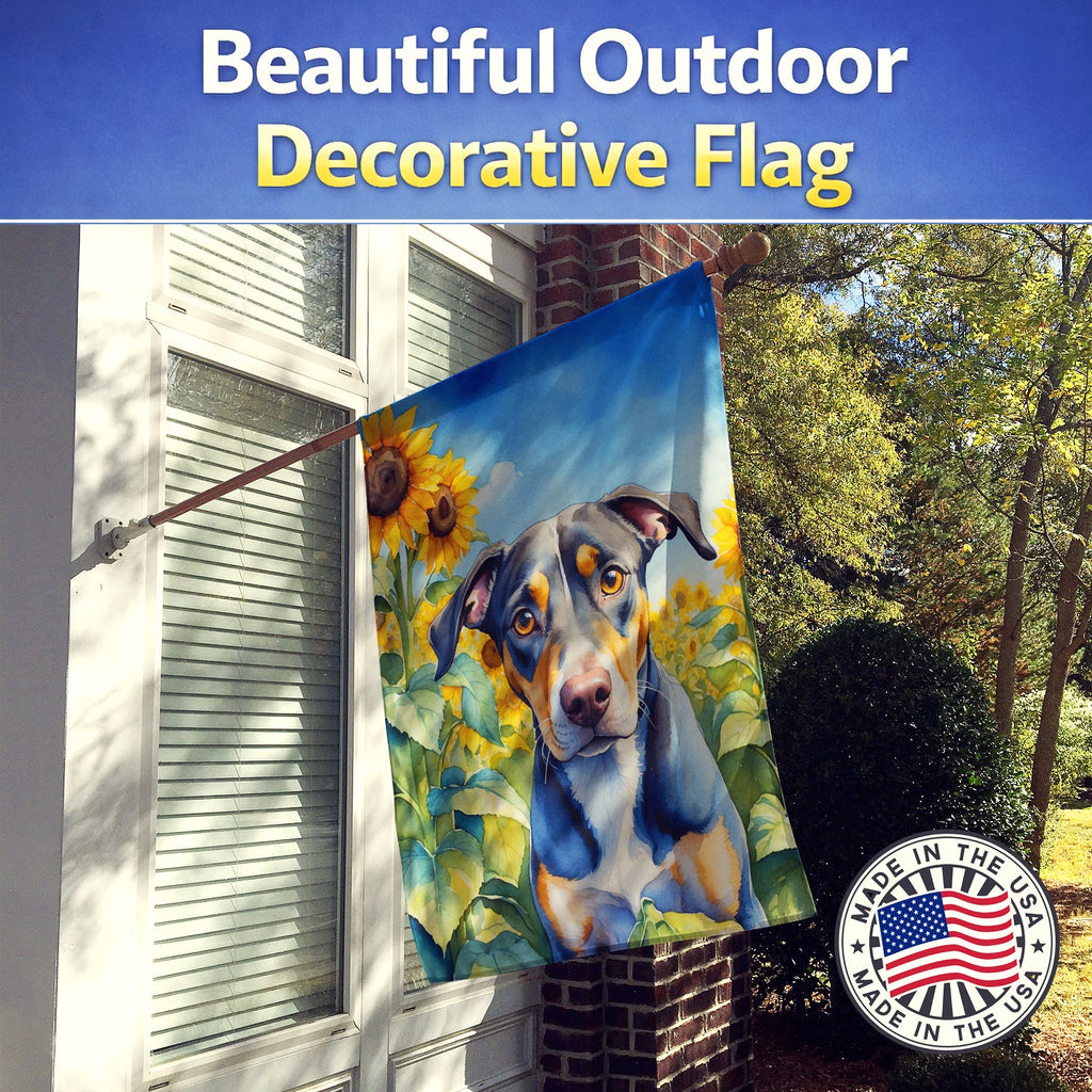 Catahoula in Sunflowers House Flag 28x40 Porch Sleeve Pole Decorative Outside Yard Banner Artwork Wall Hanging, Polyester
