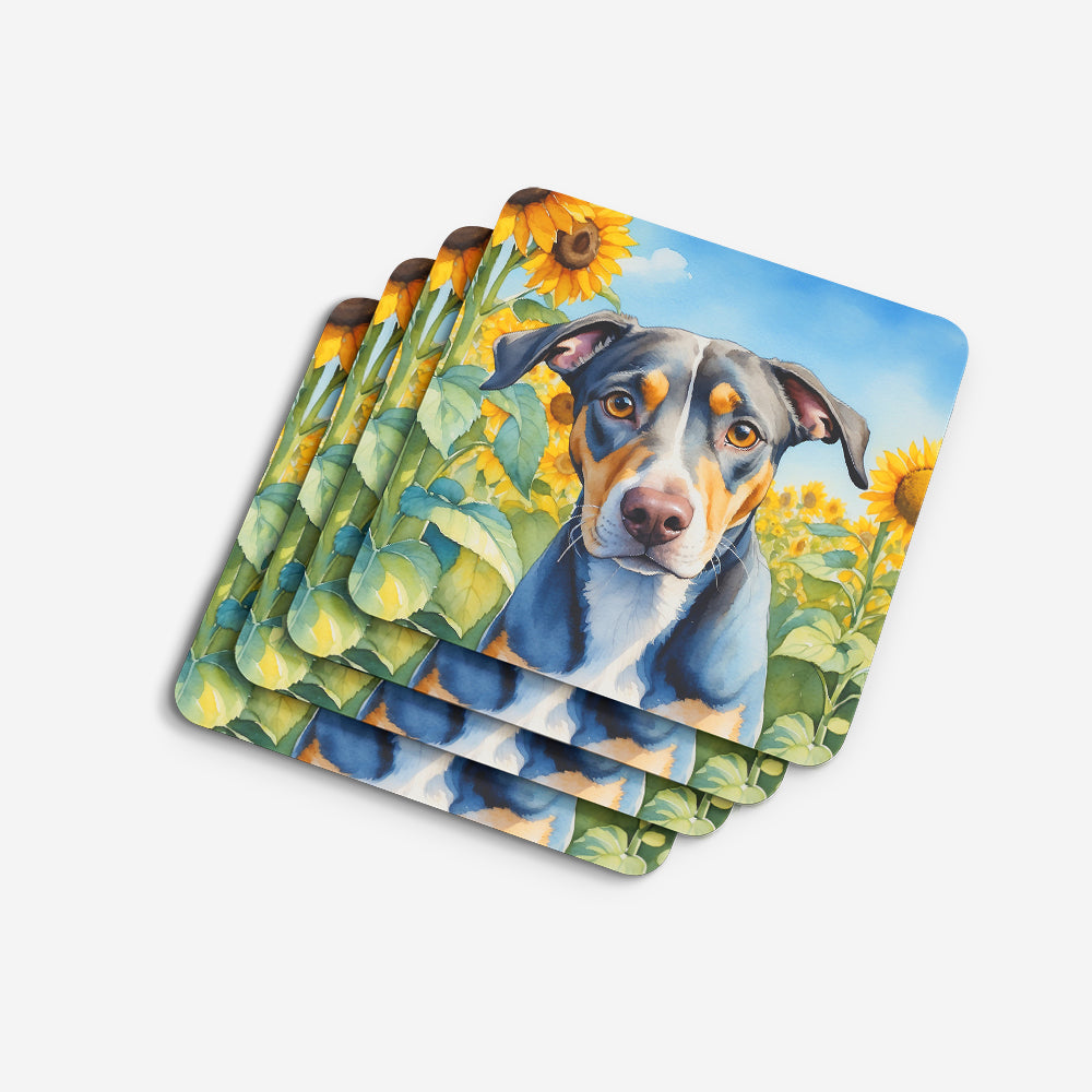 Catahoula in Sunflowers Foam Coasters Set of 4 Cup Coasters for Indoor Outdoor, Tabletop Protection, Anti Slip, Mouse pad Material