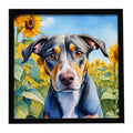 Catahoula in Sunflowers Framed Metal Print Bathroom, Kitchen, Office, Home Decor Wall Art Ready to Hang, Square, 8X8