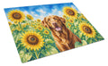 Chesapeake Bay Retriever in Sunflowers Cutting Board Tempered Glass Kitchen Cutting Surface, Heat Resistant Chopping Board with Non-Slip Feet, Decorative Food Prep & Serving