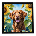 Chesapeake Bay Retriever in Sunflowers Framed Metal Print Bathroom, Kitchen, Office, Home Decor Wall Art Ready to Hang, Square, 8X8