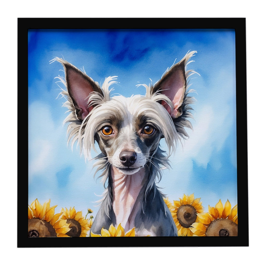 Chinese Crested in Sunflowers Framed Metal Print Bathroom, Kitchen, Office, Home Decor Wall Art Ready to Hang, Square, 8X8