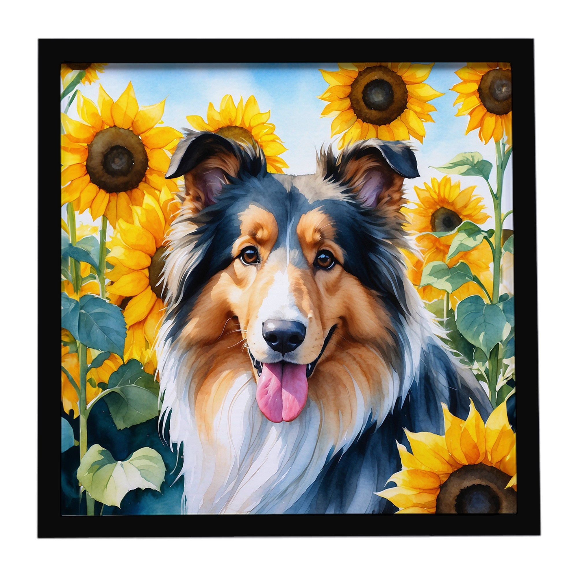 Collie in Sunflowers Framed Metal Print Bathroom, Kitchen, Office, Home Decor Wall Art Ready to Hang, Square, 8X8