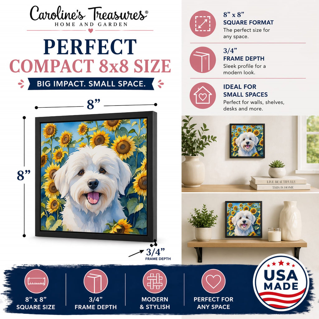 Coton de Tulear in Sunflowers Framed Metal Print Bathroom, Kitchen, Office, Home Decor Wall Art Ready to Hang, Square, 8X8