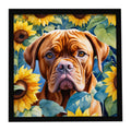 Dogue de Bordeaux in Sunflowers Framed Metal Print Bathroom, Kitchen, Office, Home Decor Wall Art Ready to Hang, Square, 8X8